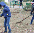 g_g_p.jpg - Krasnodar.Ru
