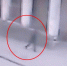 Опубликовано видео взрыва в Ростове-на-Дону - Ekaterinodar.Ru