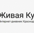 Водитель иномарки насмерть сбил ребенка на пешеходном переходе в Краснодаре - LiveKuban.Ru