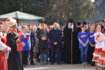 Тихорецкий Район Фото