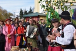 Тихорецкий Район Фото