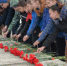 1528310661_image_15175818578681.jpg_view.jpeg - Krasnodar.Ru