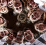 0bdcf3db05f12ed7d55aeb9ad5047e1a.jpg - Krasnodar.Ru