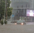 ВИДЕО: после ливня в понедельник поплыл Белореченск - LiveKuban.Ru