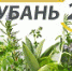 Траволечение может быть опасным - ГБУЗ Центр медицинской профилактики