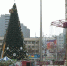 С Театральной площади Краснодара убирают главную городскую елку - МТРК Краснодар