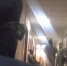 В мэрии Сочи прошли обыски - LiveKuban.Ru