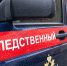 СК займется матерью из Краснодарского края, которая уехала на отдых и оставила троих детей одних дома - Кубанские Новости