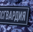 В Краснодаре угонщику машины пришлось пешком убегать от росгвардейцев - МТРК Краснодар