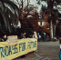 © Фото предоставлены движением Fridays For Future по Сочи - Yuga.Ru