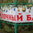 В Краснодаре елочные базары откроются 15 декабря - Кубанские Новости