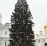 glavnaya-elka-strany-skoro-pribudet-v-moskvu - LiveKuban.Ru