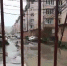v-krasnodare-prodolzhayutsya-zabornye-voyny - LiveKuban.Ru