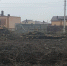 v-krasnodare-idet-nezakonnaya-vyrubka-derevev - LiveKuban.Ru