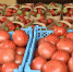 Рынки на Кубани закрыты, но фермерам помогут реализовать продукцию - KrasnodarMedia