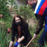 На Кубани стартовала акция «Палисадник Победы» - Единая Россия