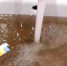 Жители района жалуются на качество, напор, цвет и запах воды (видео) - Газета РВС