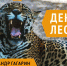 В Кавказском заповеднике откроется Арт-резиденция - Югополис