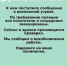 © Скриншот сторис из инстаграма «МЕГА Адыгея-Кубань», instagram.com/mega_adygea - Yuga.Ru