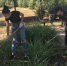 В Краснодаре стартовала "генеральная уборка" городских территорий - KrasnodarMedia
