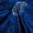 Гороскоп на неделю с 21 по 27 сентября: кто схватит удачу за хвост, а кому не повезет - KrasnodarMedia