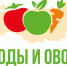 ​В Краснодаре запланировано проведение ежегодного форума “Плоды и овощи России” - Югополис