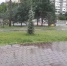 Поливают в дождь - 24Krasnodar.Ru
