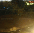 В Сочи дерево едва не раздавило людей в беседке ВИДЕО - LiveKuban.Ru