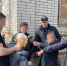 В Краснодарском крае женщина разбила мужу голову, а в тюрьму сел любовник - LiveKuban.Ru