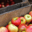 Какие продукты спасут от повышенного давления - Кубанские Новости