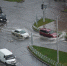 SIN_4110 © Фото Елены Синеок, Юга.ру - Yuga.Ru