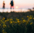 © Фото Olia Nayda с сайта unsplash.com - Yuga.Ru