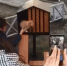 В Анапе появился квартал с домами для уличных котов ВИДЕО - LiveKuban.Ru
