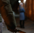 2496437.jpg - KrasnodarMedia