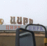 В Краснодаре отпразднуют всемирный день цирка - Газета Краснодарские известия