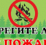 Министерство природных ресурсов Краснодарского края усилит меры по профилактике лесных пожаров в регионе - Министерство природных ресурсов
