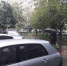 В Сочи за сутки выпало 25 мм осадков, все службы работают в усиленном режиме - KrasnodarMedia