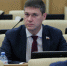 Закон о параллельном импорте одобрен Советом Федерации - Единая Россия