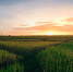 © Фото wirestock с сайта ru.freepik.com - Yuga.Ru