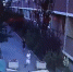 Ужас в поселке Южном - 24Krasnodar.Ru