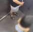 В Сочи неизвестный самоудовлетворялся в лифте на глазах у детей ВИДЕО - LiveKuban.Ru