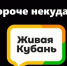 На Кубани подвели итоги выборов, а аэропорты Анапы, Геленджика, Краснодара закрыты до 22 сентября: итоги недели - LiveKuban.Ru