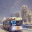 Троллейбус в Краснодаре - 24Krasnodar.Ru