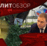 "Казус" с депутатом, накал страстей в Геленджике и "жесткий" Швец: политнеделя на Кубани - KrasnodarMedia