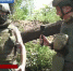 На «Первом канале» вышел сюжет о выполнении боевых задач казаками-добровольцами - Кубанское казачье войско
