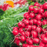 Россиянам рассказали, какой продукт подешевеет к осени - KrasnodarMedia