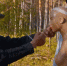 Кадр из тизера к фильму «ЭТ»  © Скриншот со страницы https://youtu.be/0TR758oksLo - Yuga.Ru