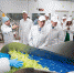 На Кубани запустили комплекс по выращиванию и переработке салатной продукции - Krasnodar.Ru