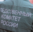 Бастрыкин поручил возбудить дело после нападения питбуля на ребенка в Краснодаре - KrasnodarMedia