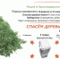 На Кубани уже через месяц стартует соревнование по сбору макулатуры - Министерство природных ресурсов